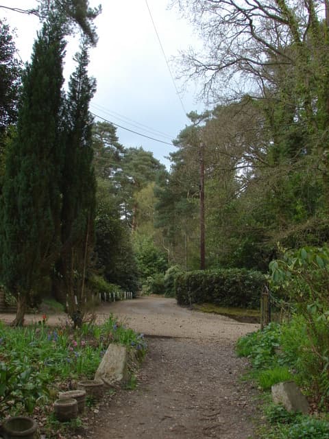 Surrey & Berkshire Heathland Golf