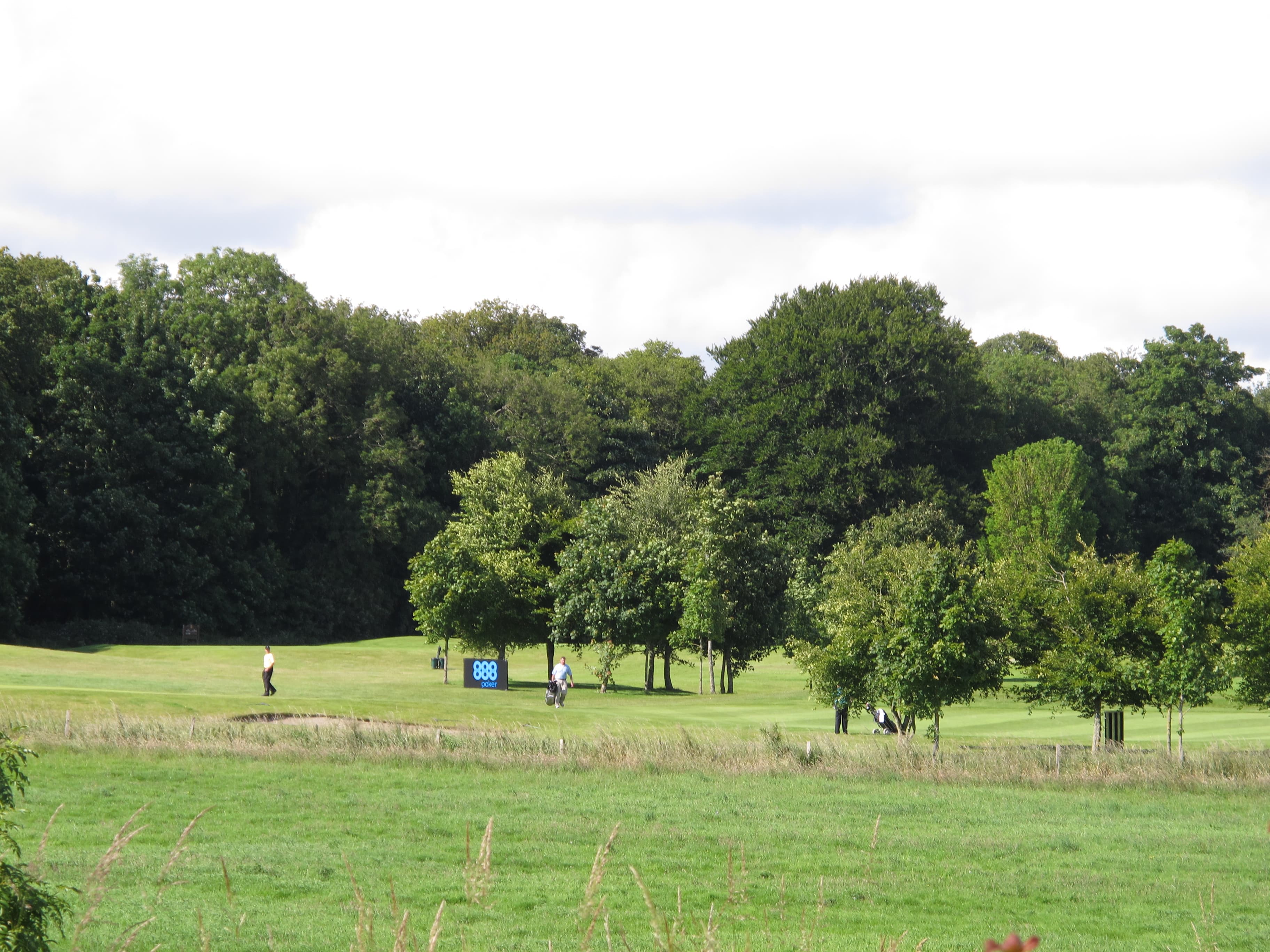 Fota Island